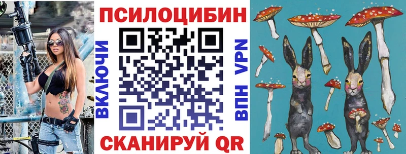 Галлюциногенные грибы мицелий  Ивантеевка 